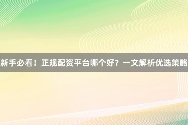 新手必看！正规配资平台哪个好？一文解析优选策略