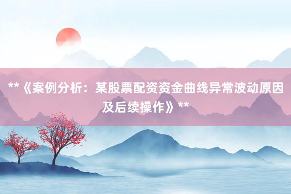 **《案例分析：某股票配资资金曲线异常波动原因及后续操作》**