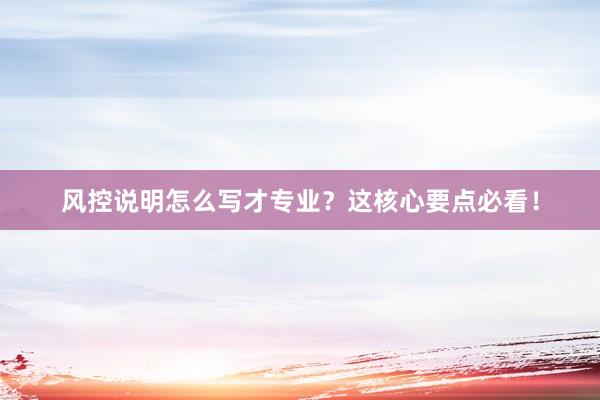 风控说明怎么写才专业？这核心要点必看！