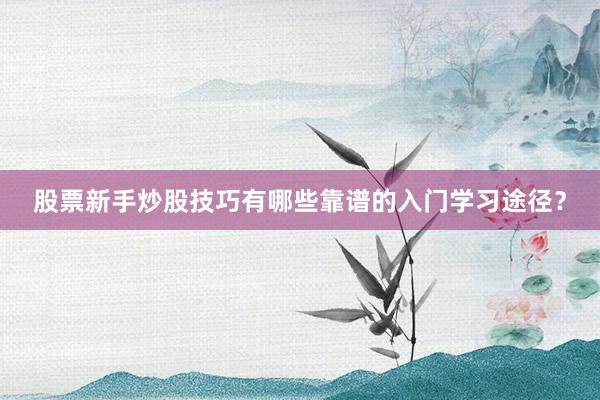 股票新手炒股技巧有哪些靠谱的入门学习途径？