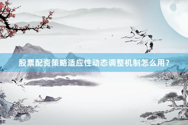 股票配资策略适应性动态调整机制怎么用？