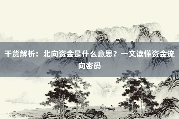 干货解析：北向资金是什么意思？一文读懂资金流向密码