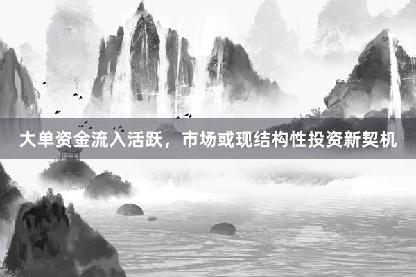 大单资金流入活跃，市场或现结构性投资新契机
