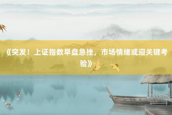 《突发！上证指数早盘急挫，市场情绪或迎关键考验》