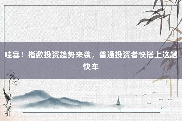 哇塞！指数投资趋势来袭，普通投资者快搭上这趟快车