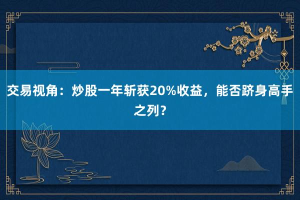 交易视角：炒股一年斩获20%收益，能否跻身高手之列？