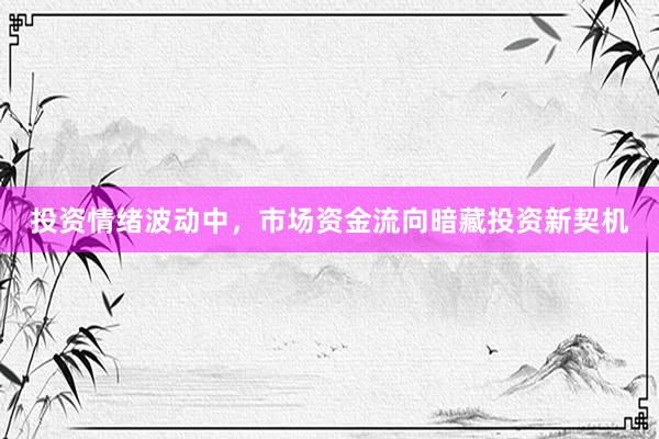 投资情绪波动中，市场资金流向暗藏投资新契机