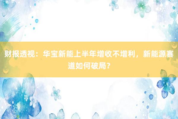 财报透视：华宝新能上半年增收不增利，新能源赛道如何破局？