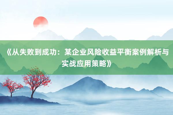 《从失败到成功：某企业风险收益平衡案例解析与实战应用策略》