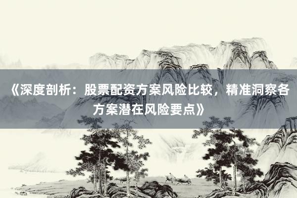 《深度剖析：股票配资方案风险比较，精准洞察各方案潜在风险要点》