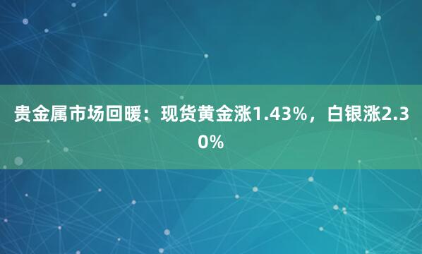 贵金属市场回暖：现货黄金涨1.43%，白银涨2.30%