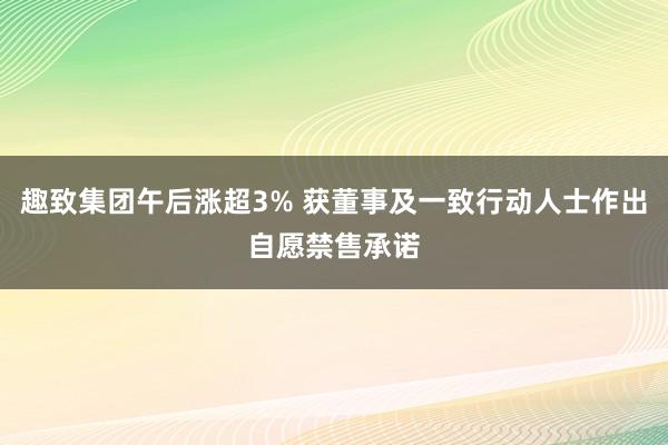 趣致集团午后涨超3% 获董事及一致行动人士作出自愿禁售承诺